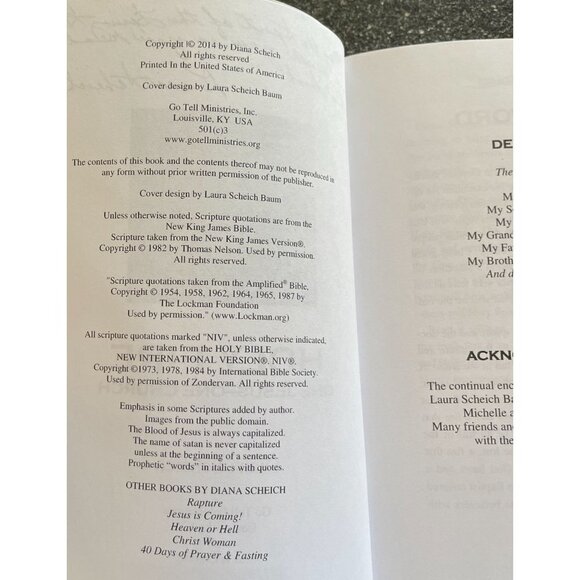 Holy Fire One Jesus-One Church Diana Scheich Go Tell Publications Paperback - Picture 5 of 6